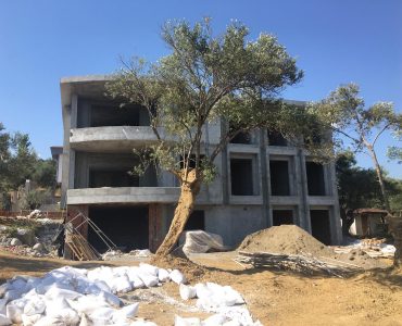 Altınoluk Oluk Proje